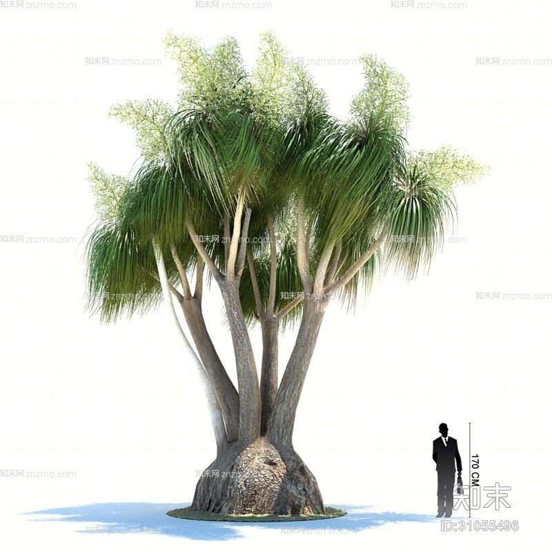 绿色景观树3D模型下载【ID:31055496】