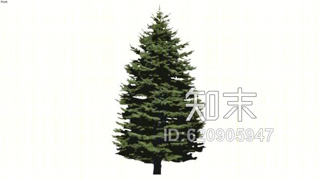 2D树种针叶树2SU模型下载【ID:620905947】