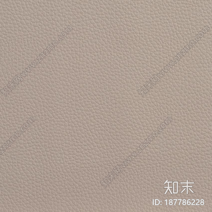 浅色皮革(10)贴图下载【ID:187786228】
