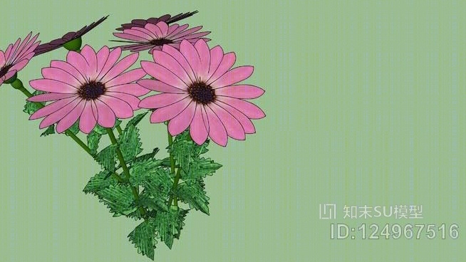 花12号SU模型下载【ID:124967516】