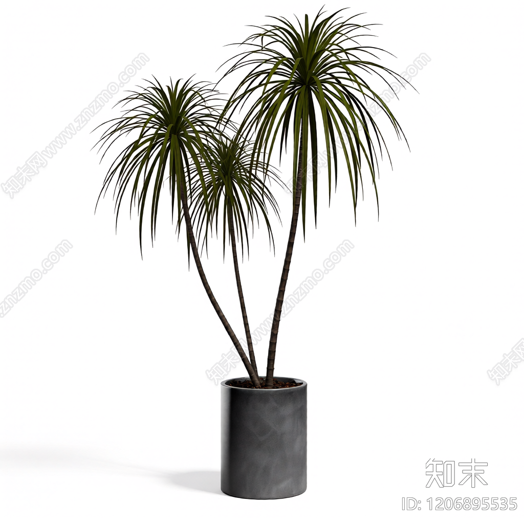 盆栽植物组合3D模型下载【ID:1206895535】