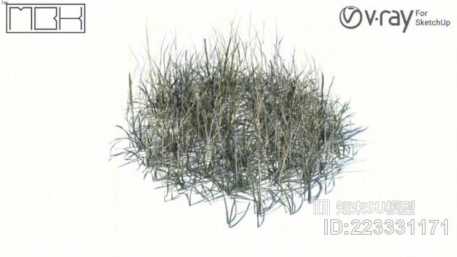 草，高聚合，VRY准备（037）SU模型下载【ID:223331171】