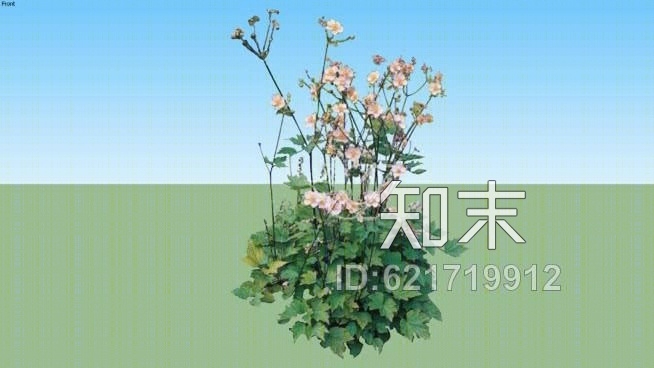 银莲花SU模型下载【ID:621719912】