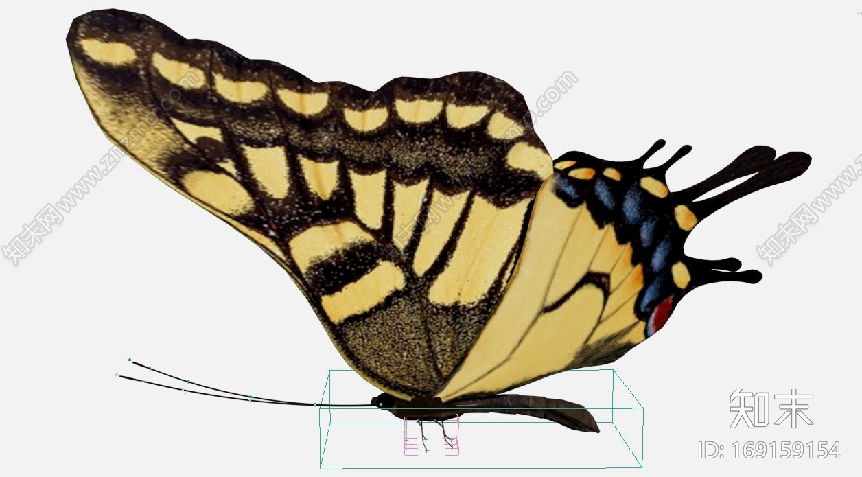 蝴蝶CG模型下载【ID:169159154】