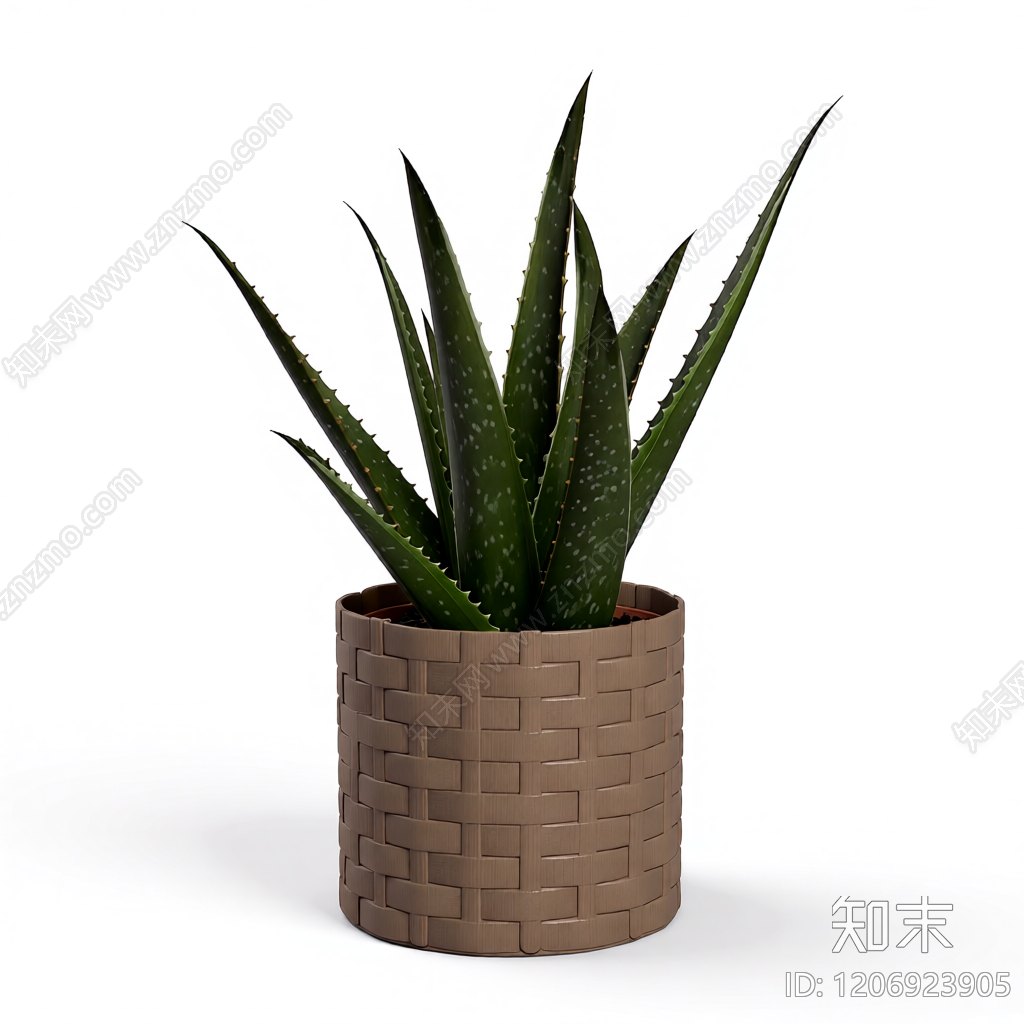 芦荟盆栽植物3D模型下载【ID:1206923905】