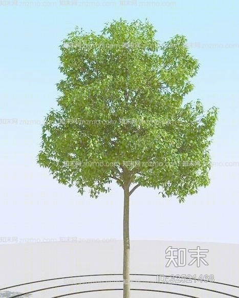 树263D模型下载【ID:32521468】