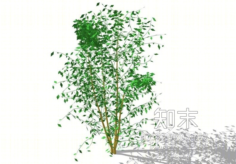 3D植物树SU模型下载【ID:220693163】