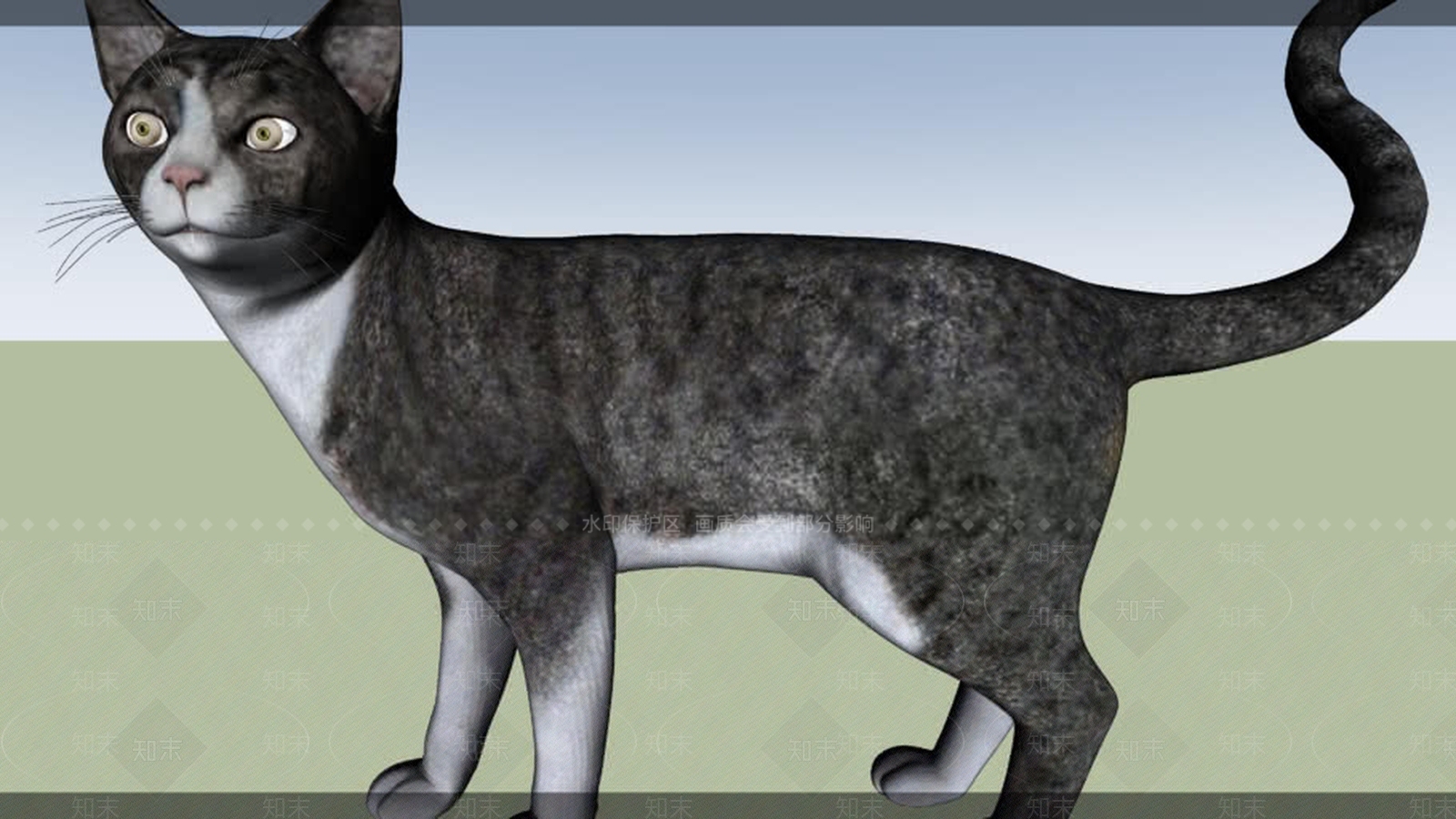 猫SU模型下载【ID:1162353126】
