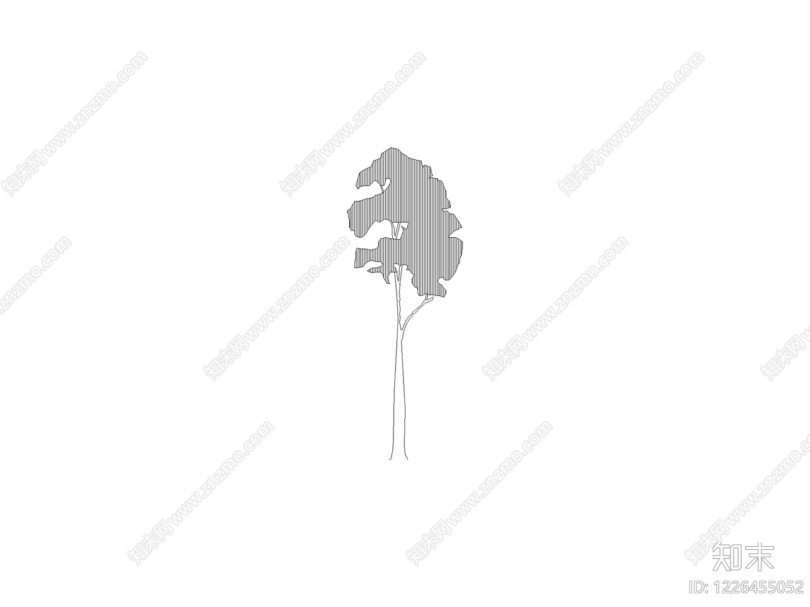 乔木种植CAD图纸