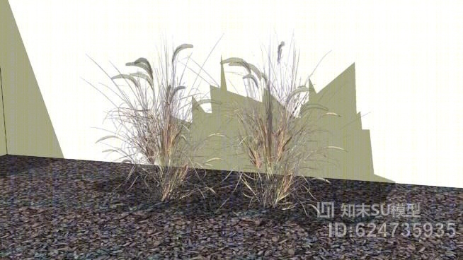 喷泉草SU模型下载【ID:624735935】