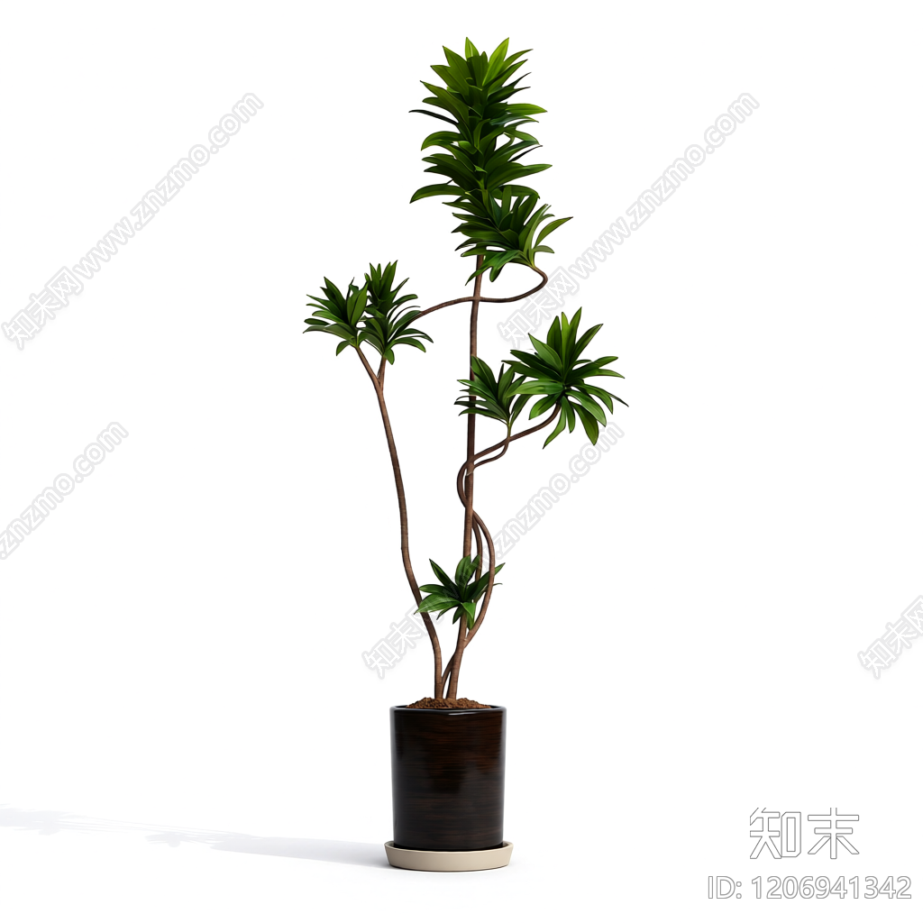 盆栽植物装饰3D模型下载【ID:1206941342】