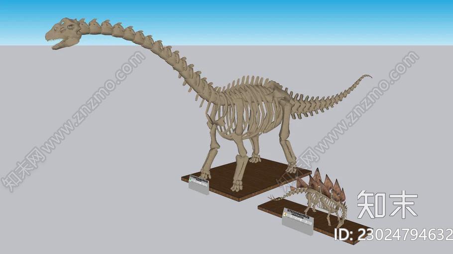 化石收藏-SU模型下载【ID:1161995287】