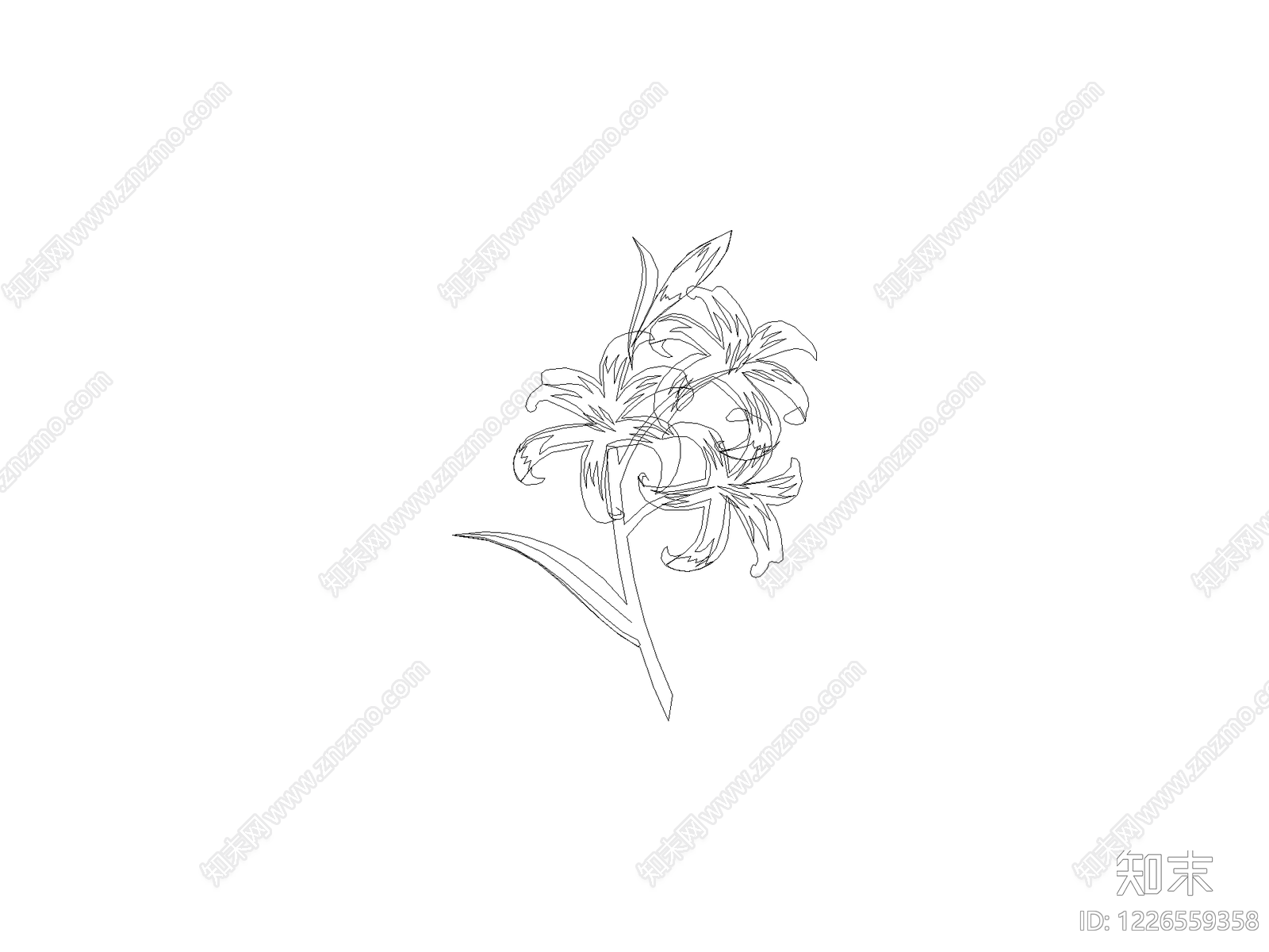 现代花CAD图纸
