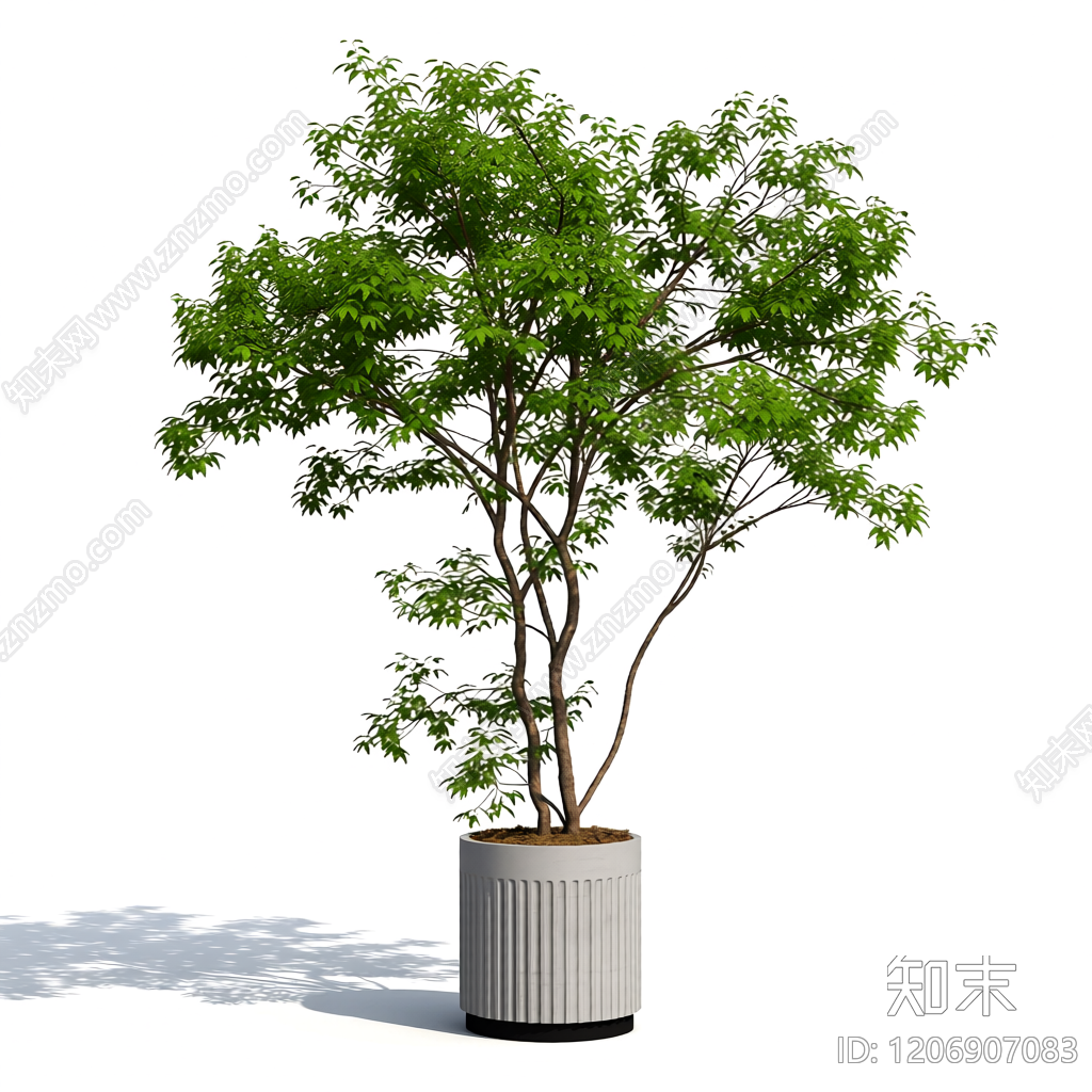 盆栽3D模型渲染效果图