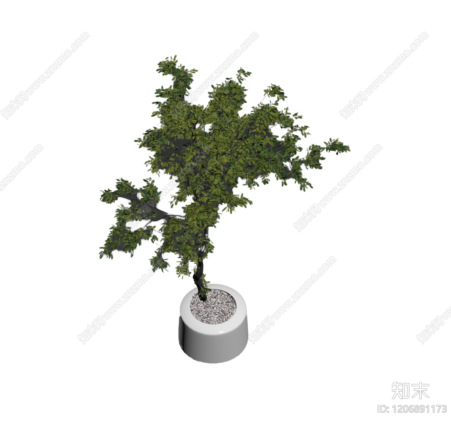 盆栽植物装饰3D模型下载【ID:1206891173】