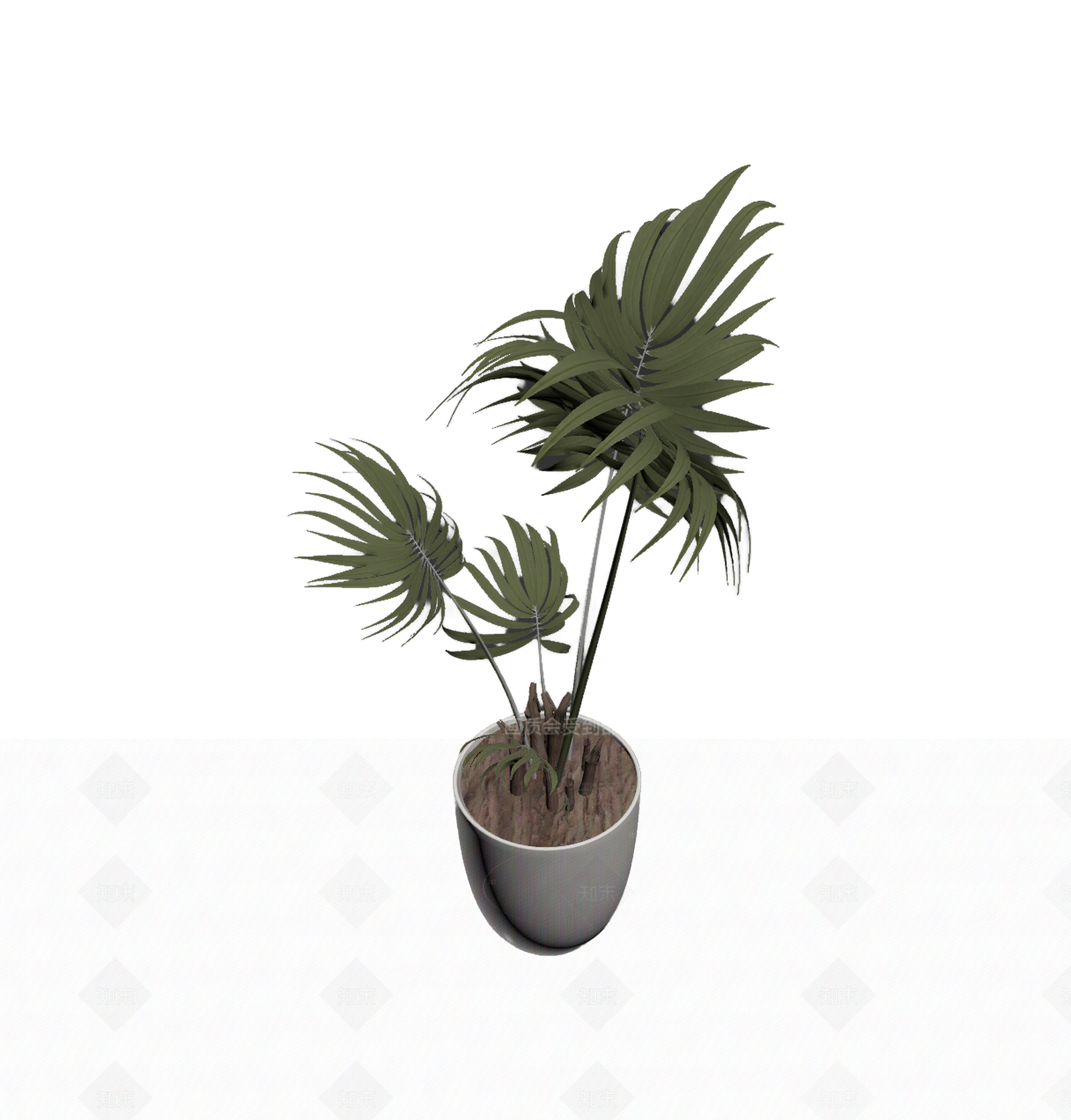带盆绿植盆栽3D模型下载【ID:1206183919】