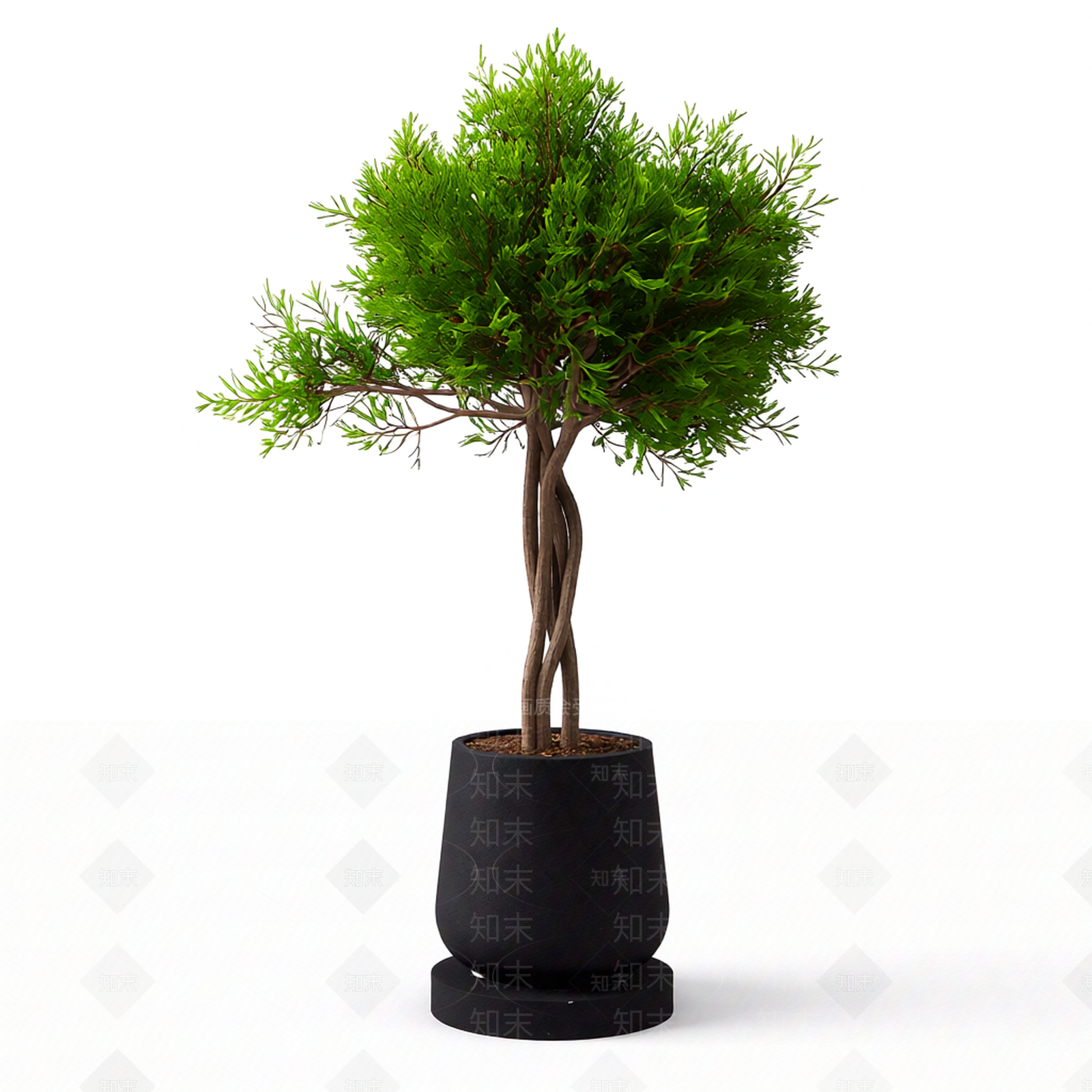 带盆缠绕树干盆栽3D模型下载【ID:1206201285】