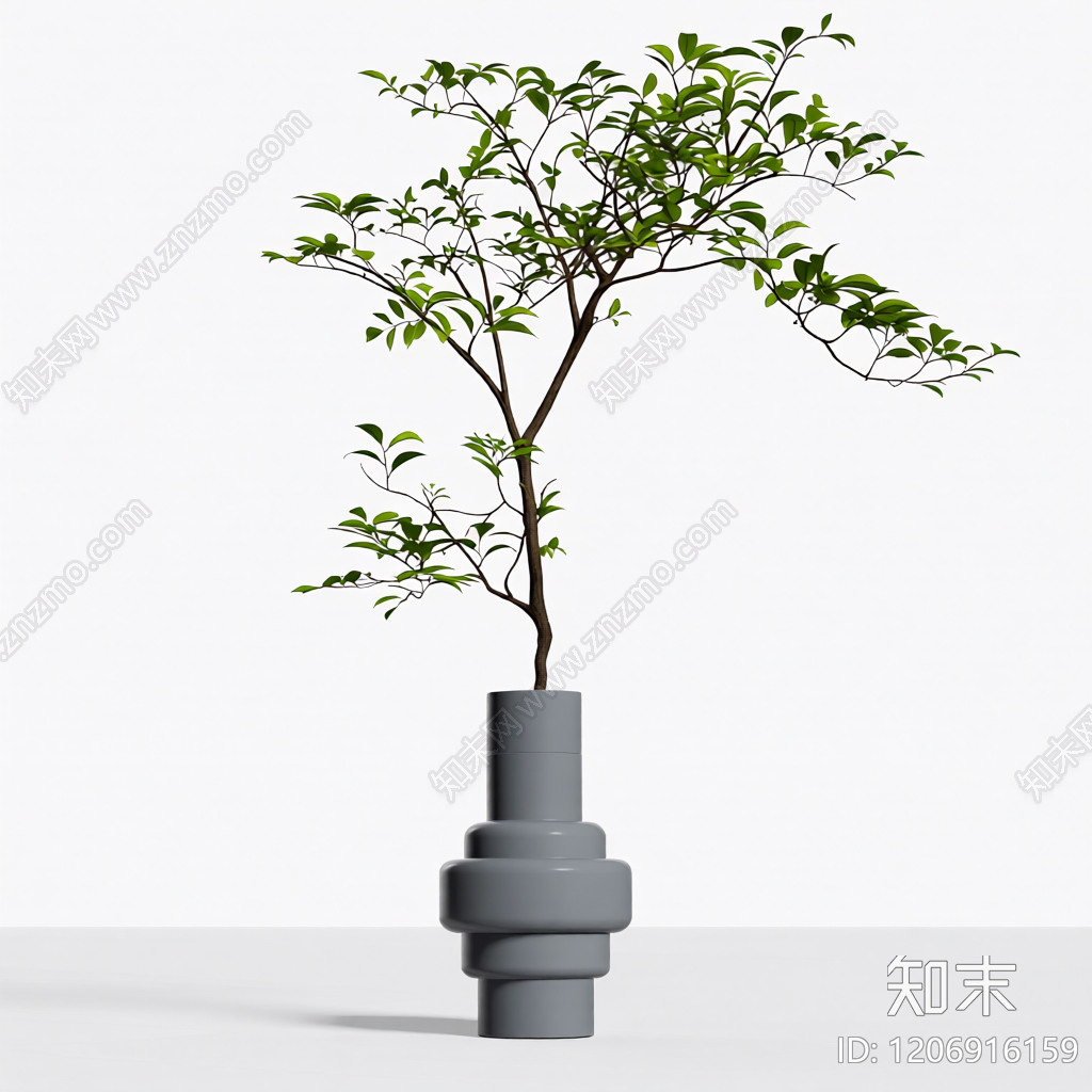 盆栽植物装饰3D模型下载【ID:1206916159】