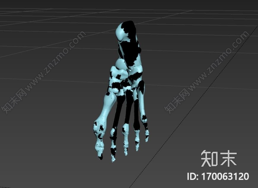 人体足部和下肢3d打印模型下载【ID:170063120】