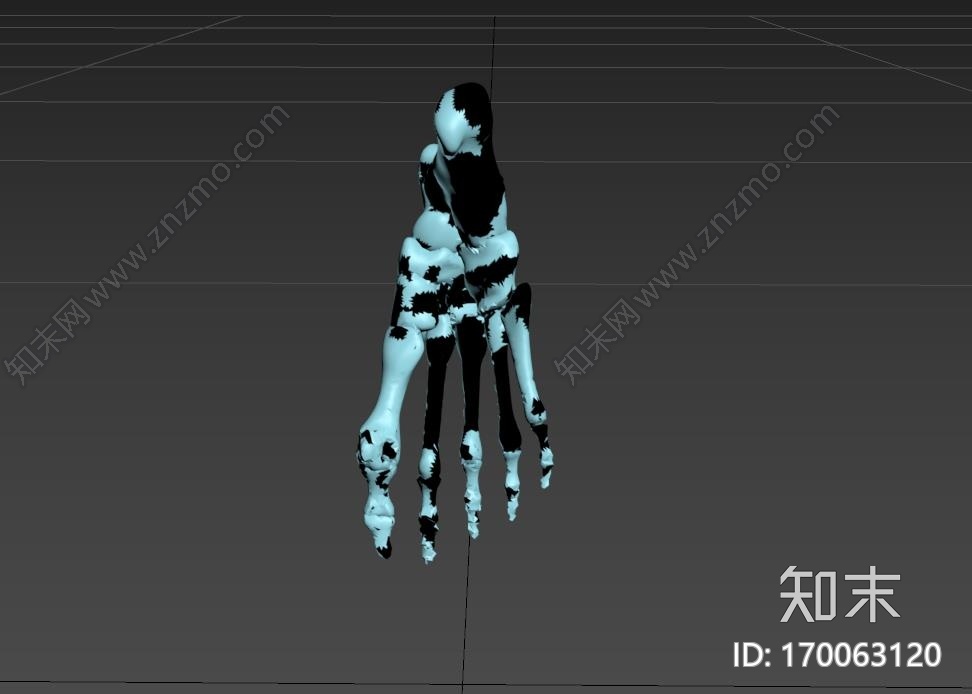 人体足部和下肢3d打印模型下载【ID:170063120】
