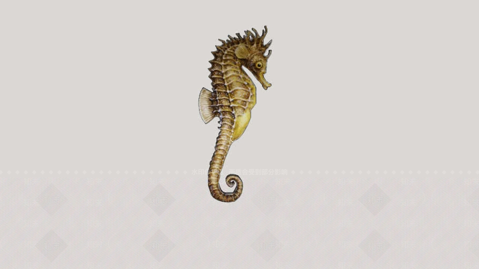 海马SU模型下载【ID:1162226262】