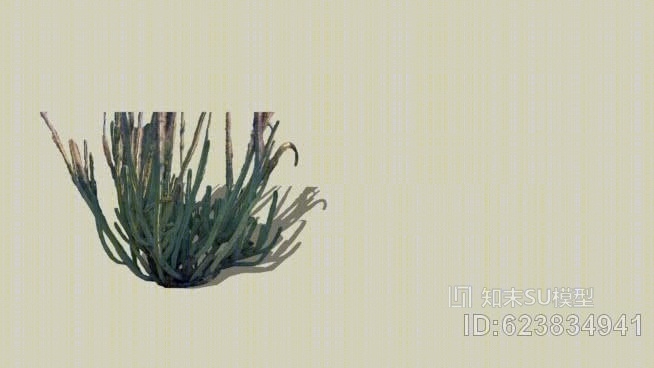 2D荒漠植物SU模型下载【ID:623834941】