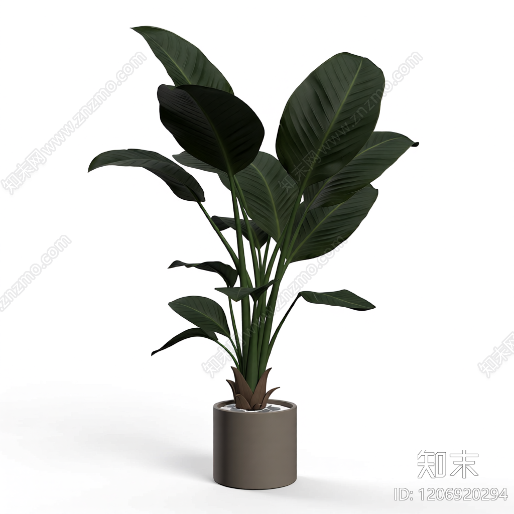 盆栽植物装饰3D模型下载【ID:1206920294】
