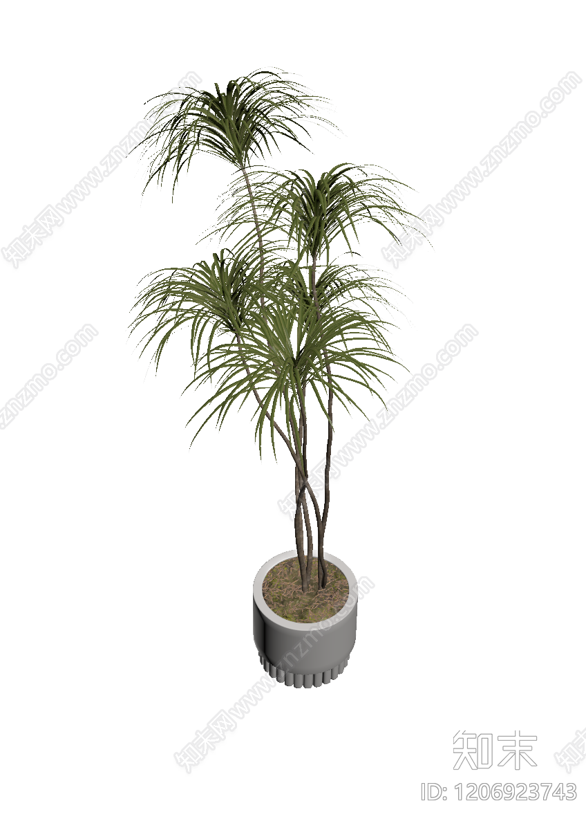 盆栽植物组合3D模型下载【ID:1206923743】