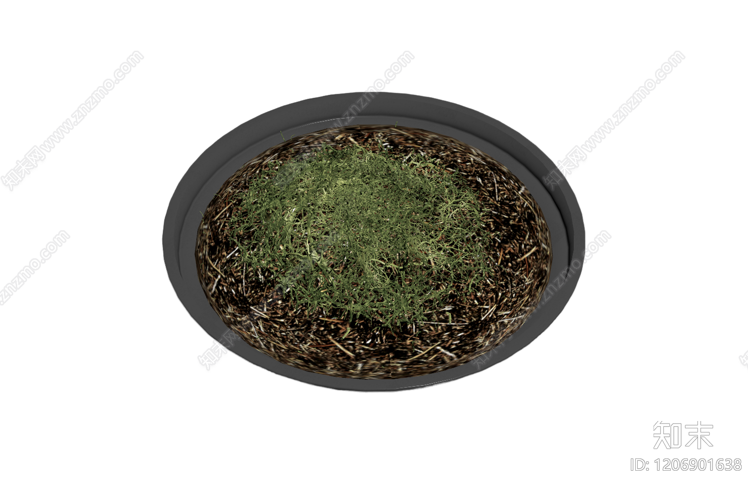 盆栽植物装饰品3D模型下载【ID:1206901638】