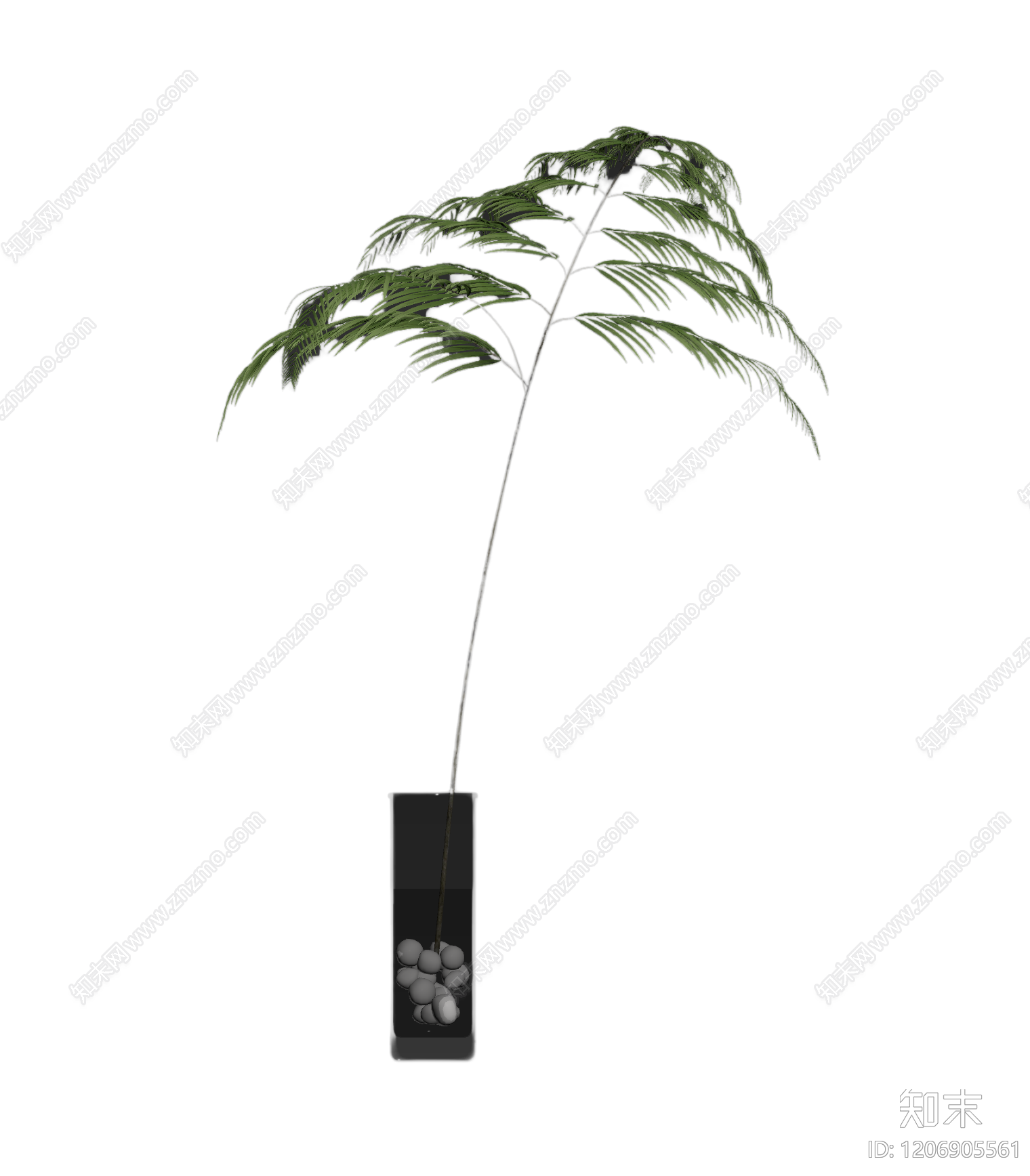 盆栽蕨类植物3D模型下载【ID:1206905561】