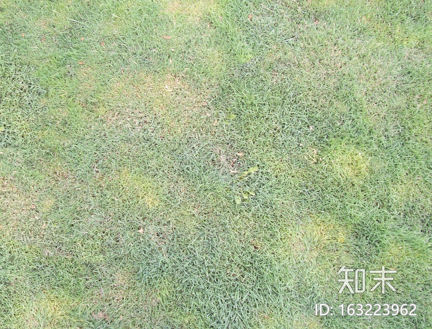 地面-草皮-0023.jpg贴图下载【ID:163223962】