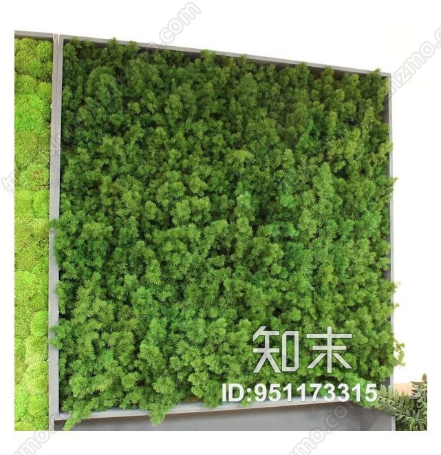 植物墙贴图下载【ID:951173315】