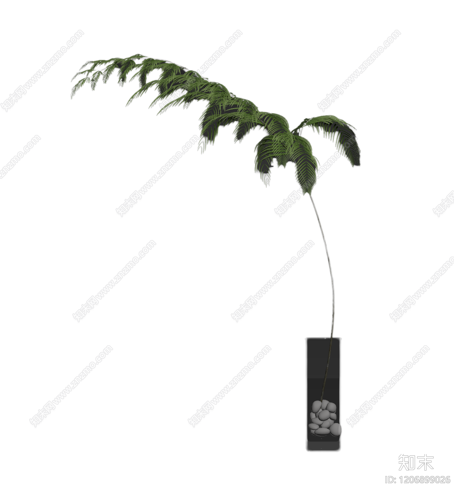 盆栽蕨类植物3D模型下载【ID:1206899026】