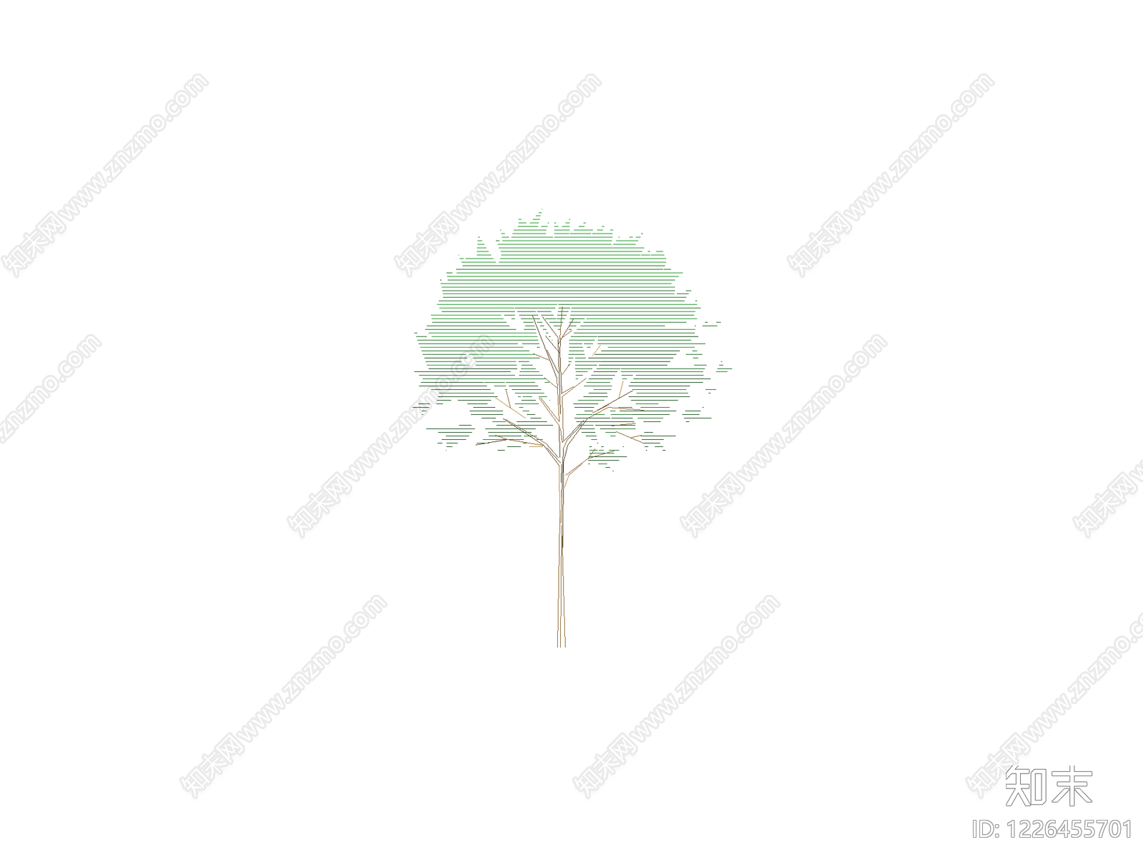 乔木种植CAD图纸