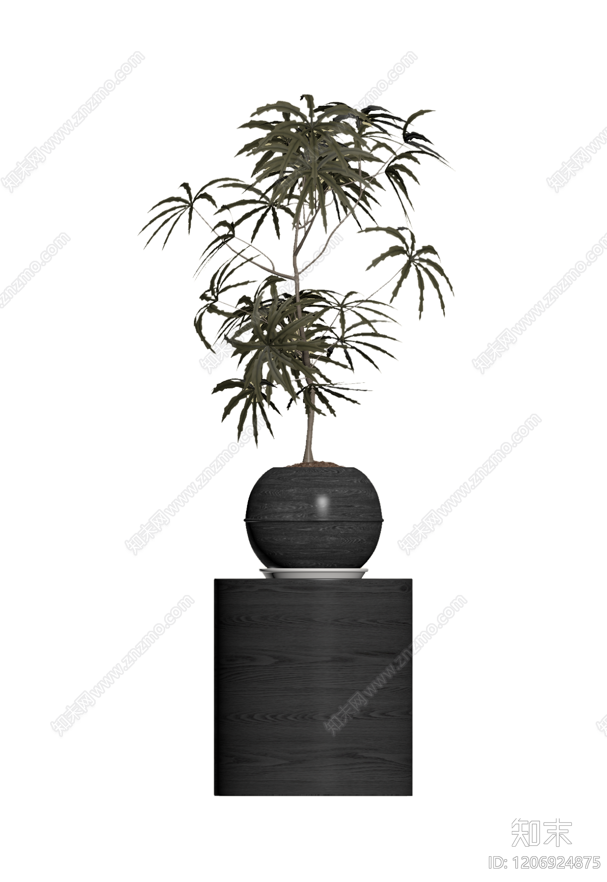 盆栽植物装饰组件3D模型下载【ID:1206924875】