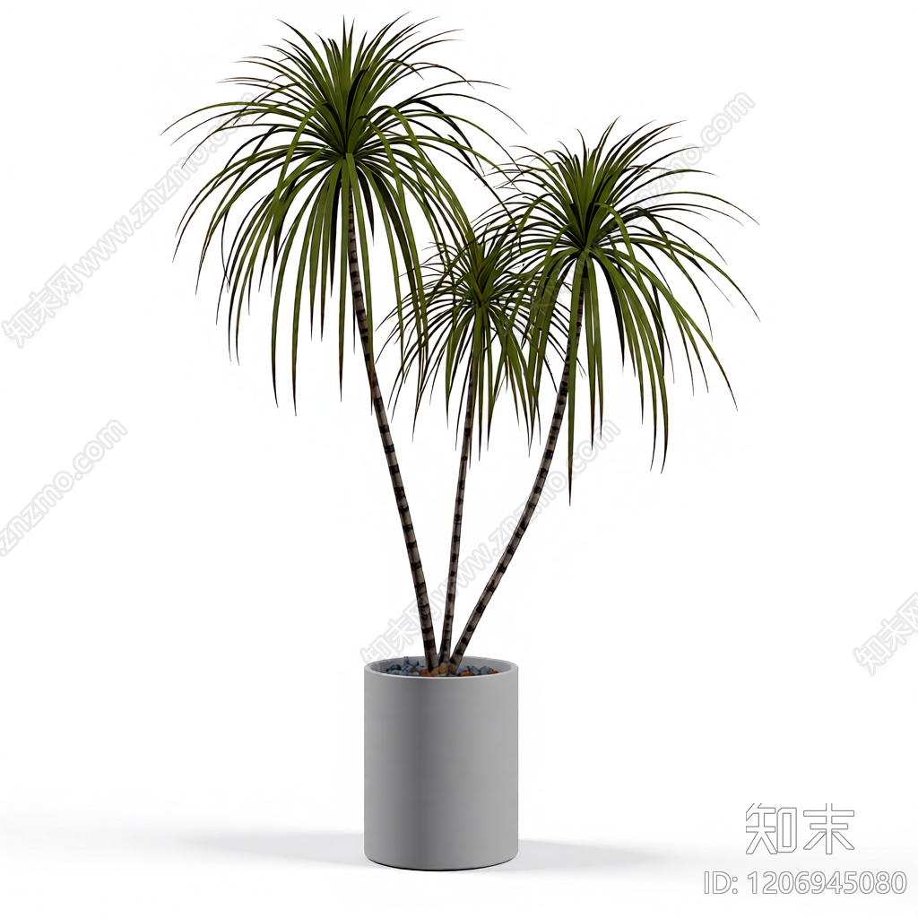 盆栽植物组合3D模型下载【ID:1206945080】