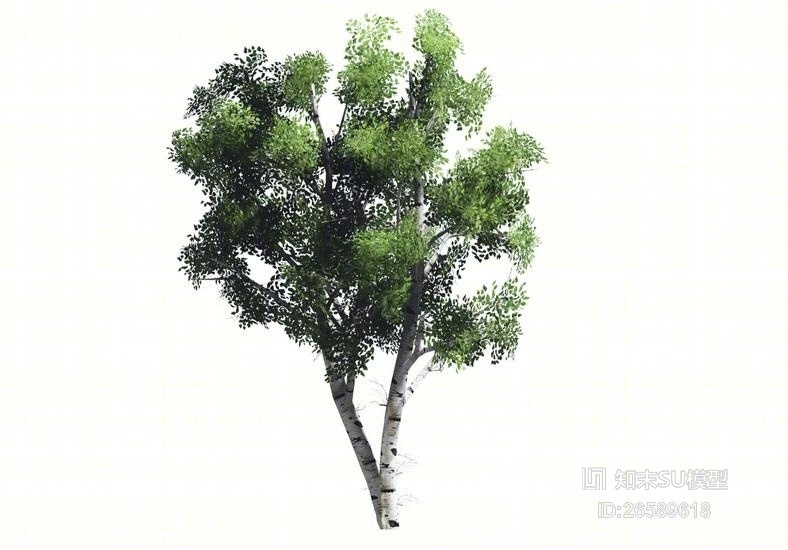 2D植物树SU模型下载【ID:26589618】