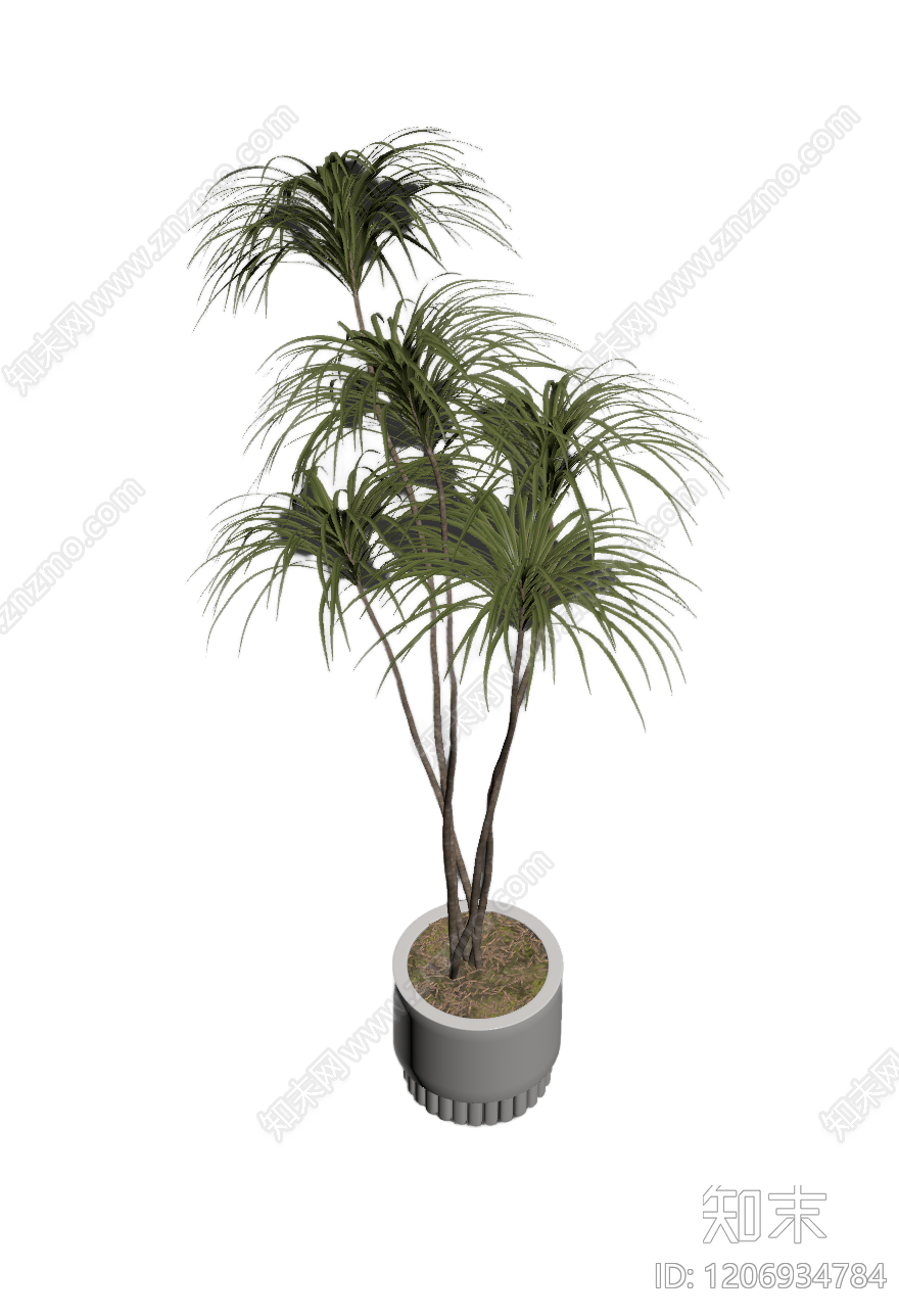 盆栽植物模型3D模型下载【ID:1206934784】