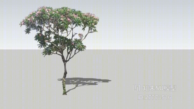 树SU模型下载【ID:27778516】