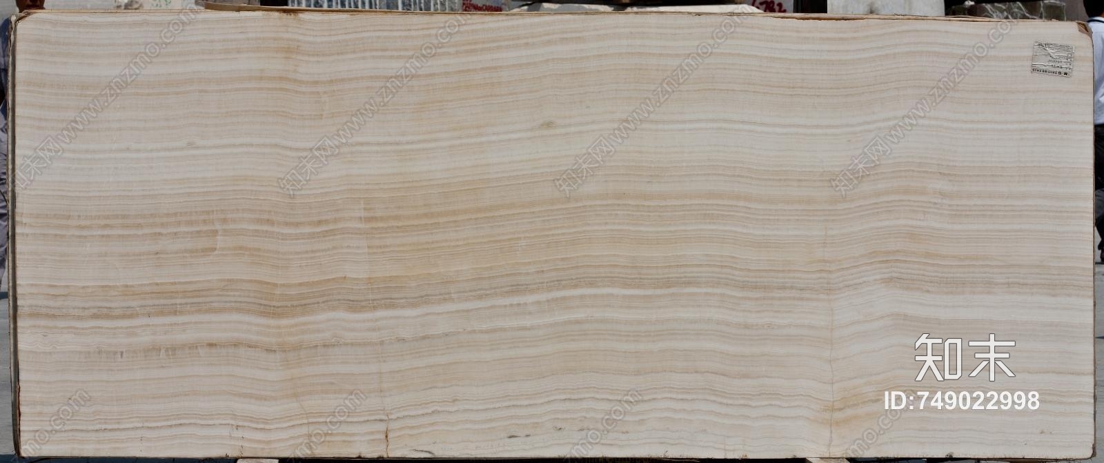 T贴图下载【ID:749022998】