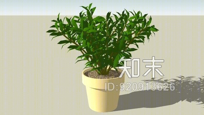 植物SU模型下载【ID:920913626】