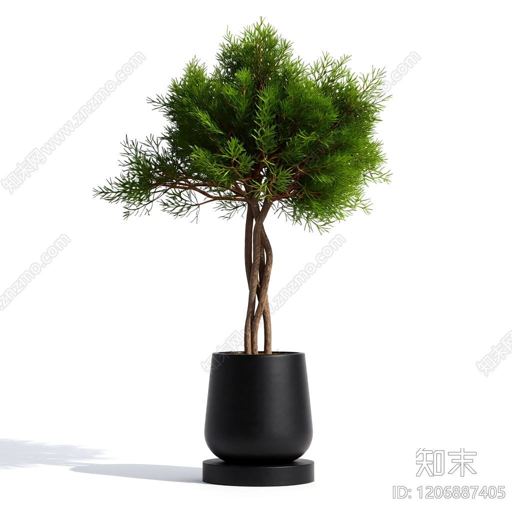 盆栽植物装饰3D模型下载【ID:1206887405】