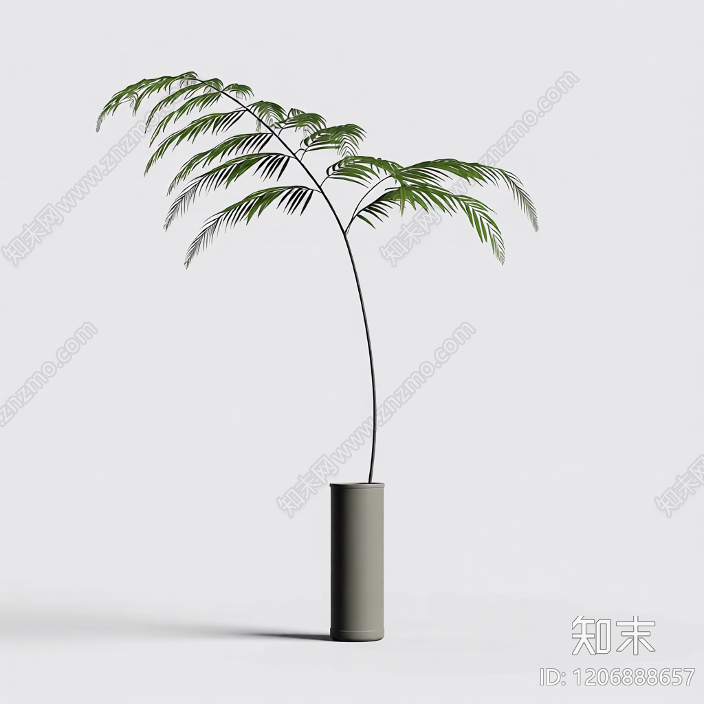盆栽蕨类植物3D模型下载【ID:1206888657】