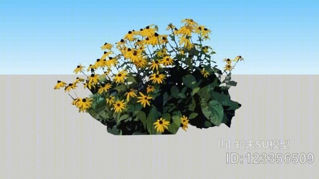 黑苏珊花SU模型下载【ID:123356509】
