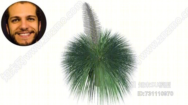 nolinaSU模型下载【ID:731110970】