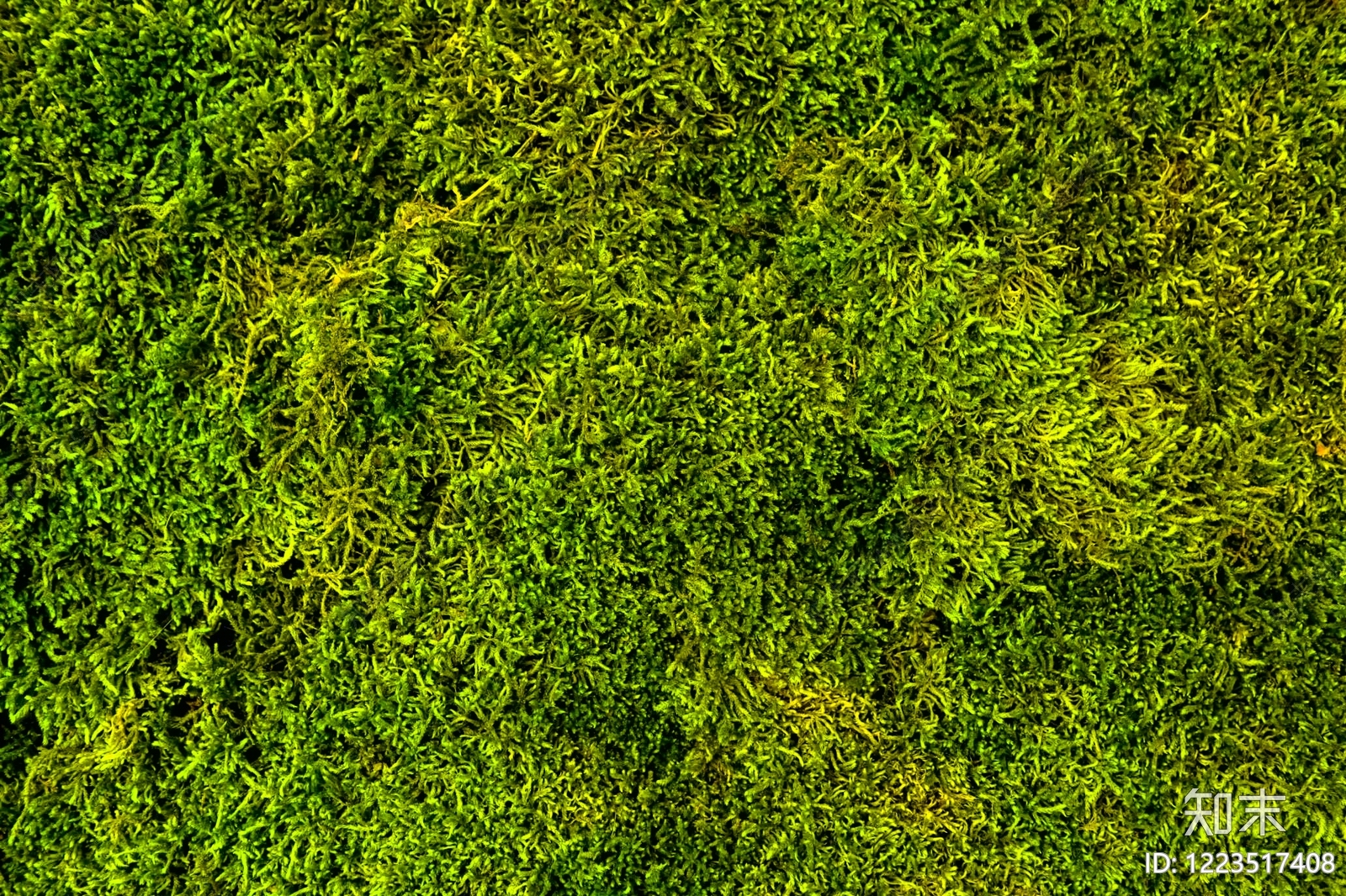 绿植墙贴图下载【ID:1223517408】