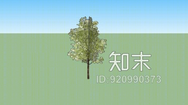 二维树SU模型下载【ID:920990373】