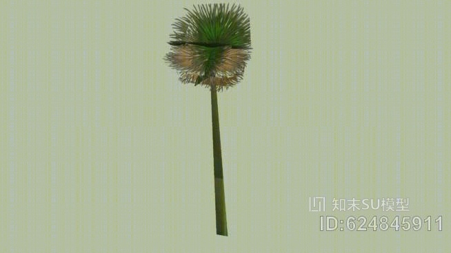 芦苇SU模型下载【ID:624845911】