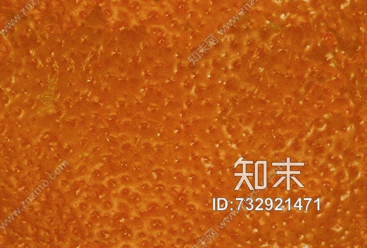 其他杂项-植物纹理贴图下载【ID:732921471】