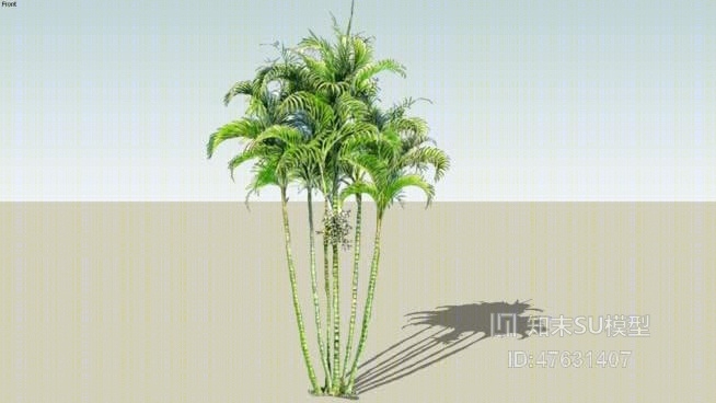 树SU模型下载【ID:47631407】